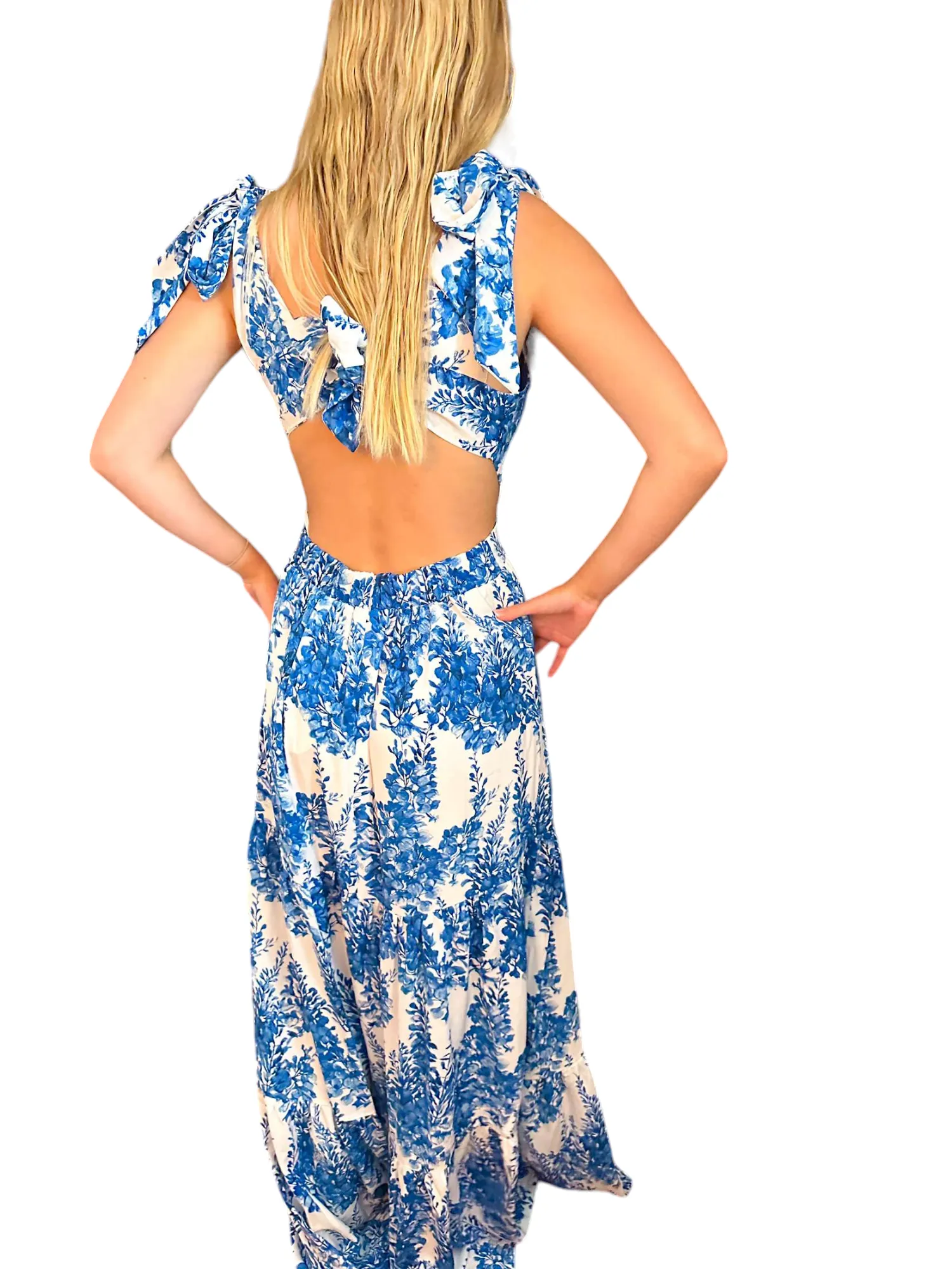 Blue bloom maxi Dress