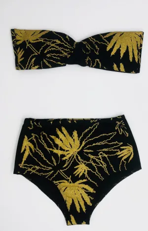 GOLDEN VISION, TOP