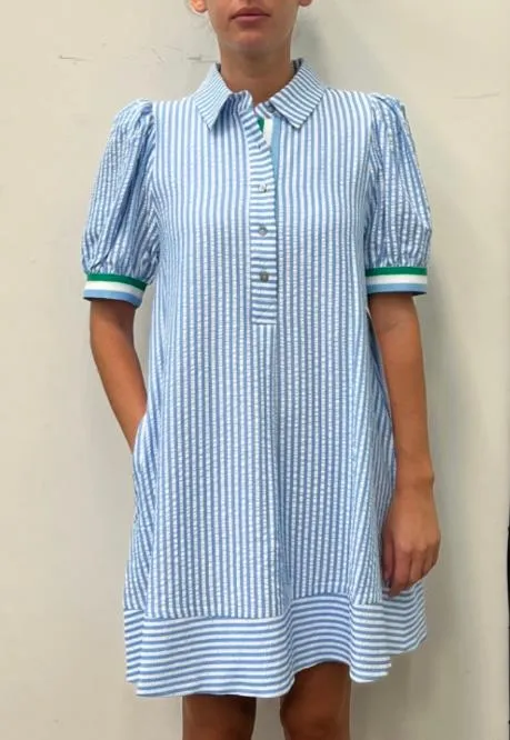Pinstripe Shirt Dress