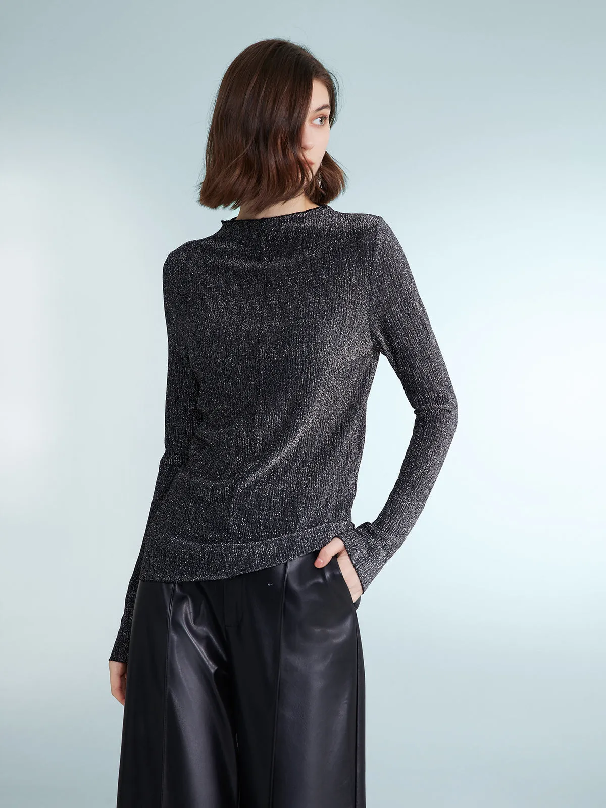 Sparkling Sheer Long Sleeve Top