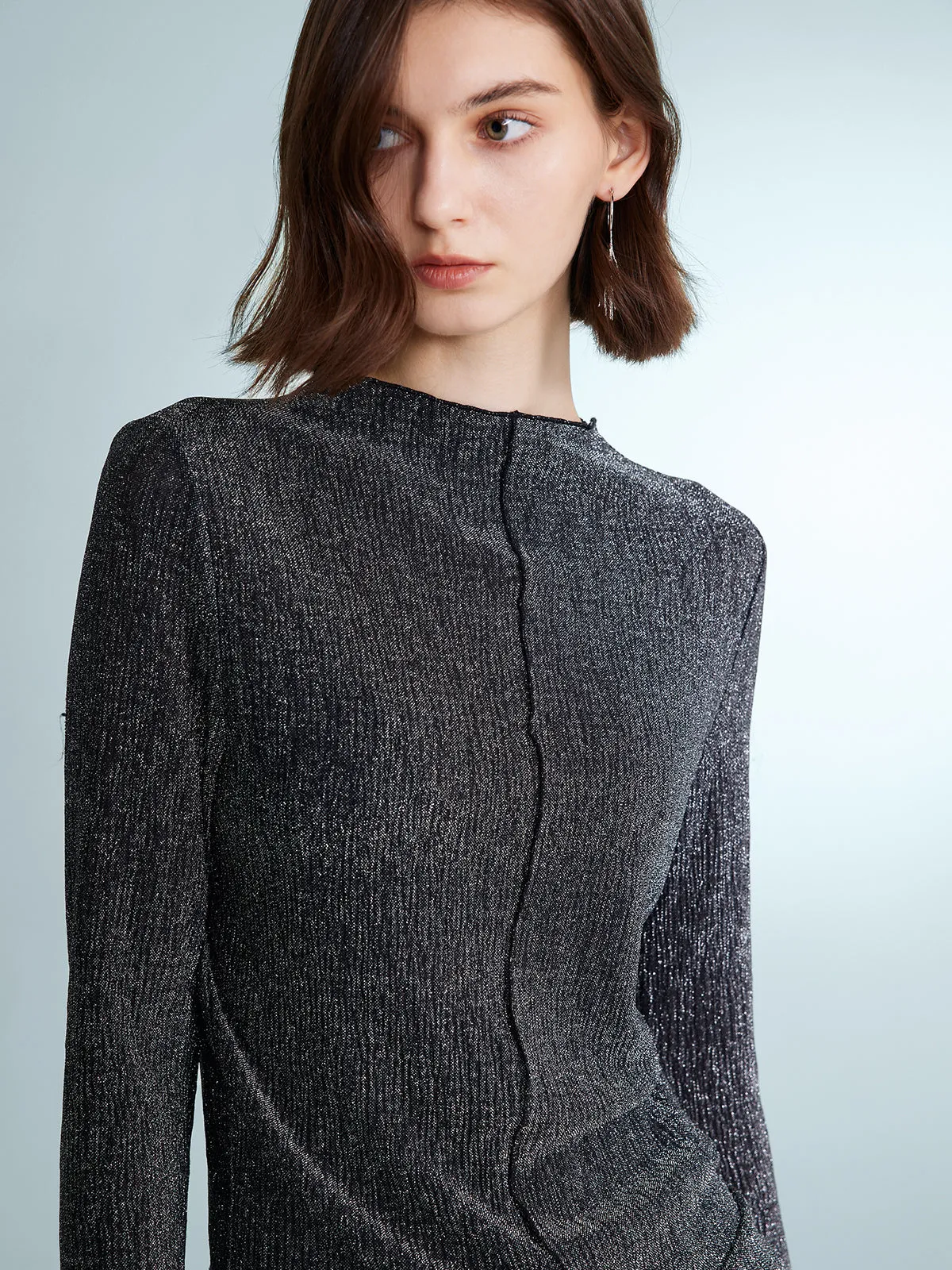 Sparkling Sheer Long Sleeve Top