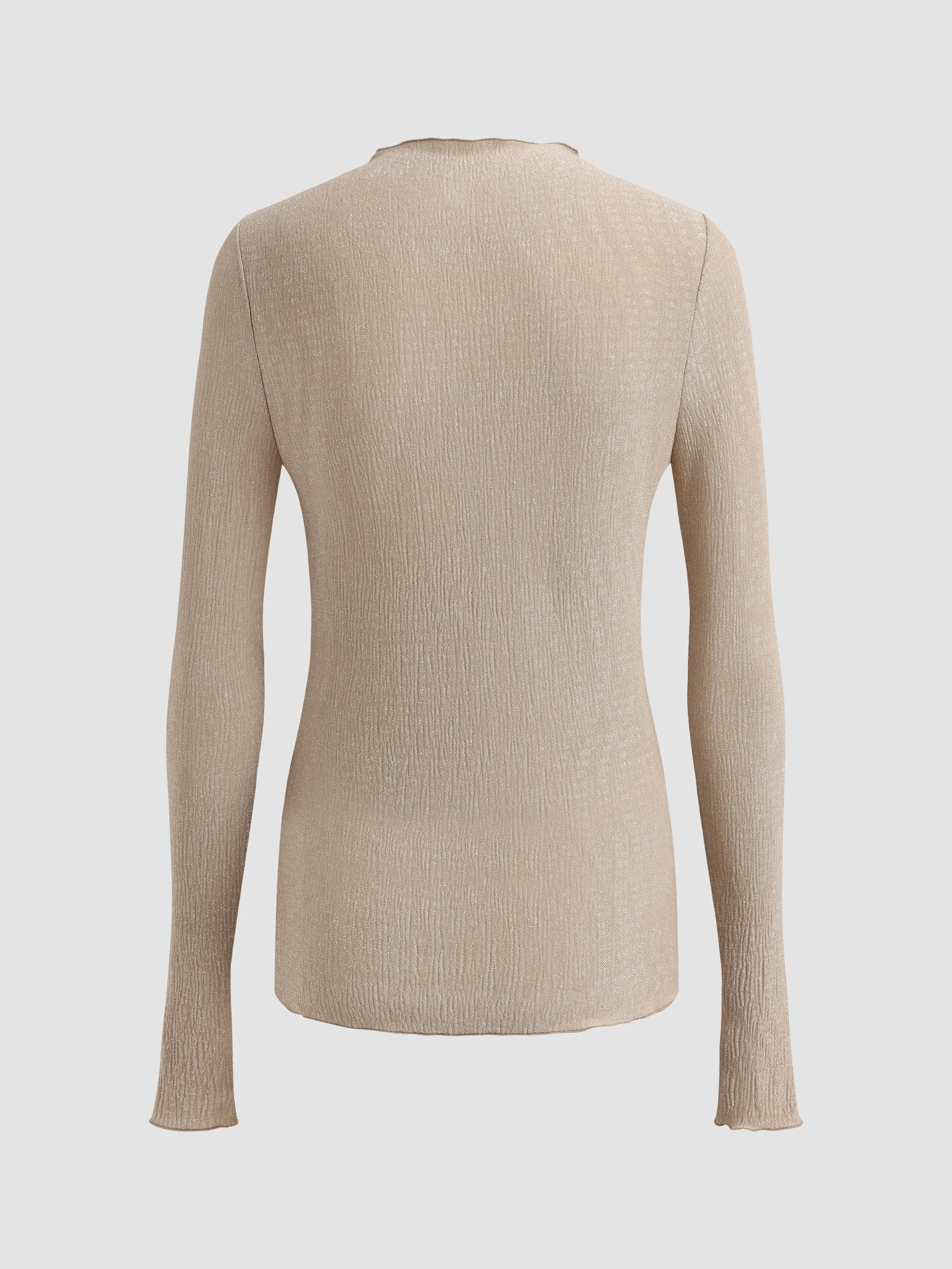 Sparkling Sheer Long Sleeve Top