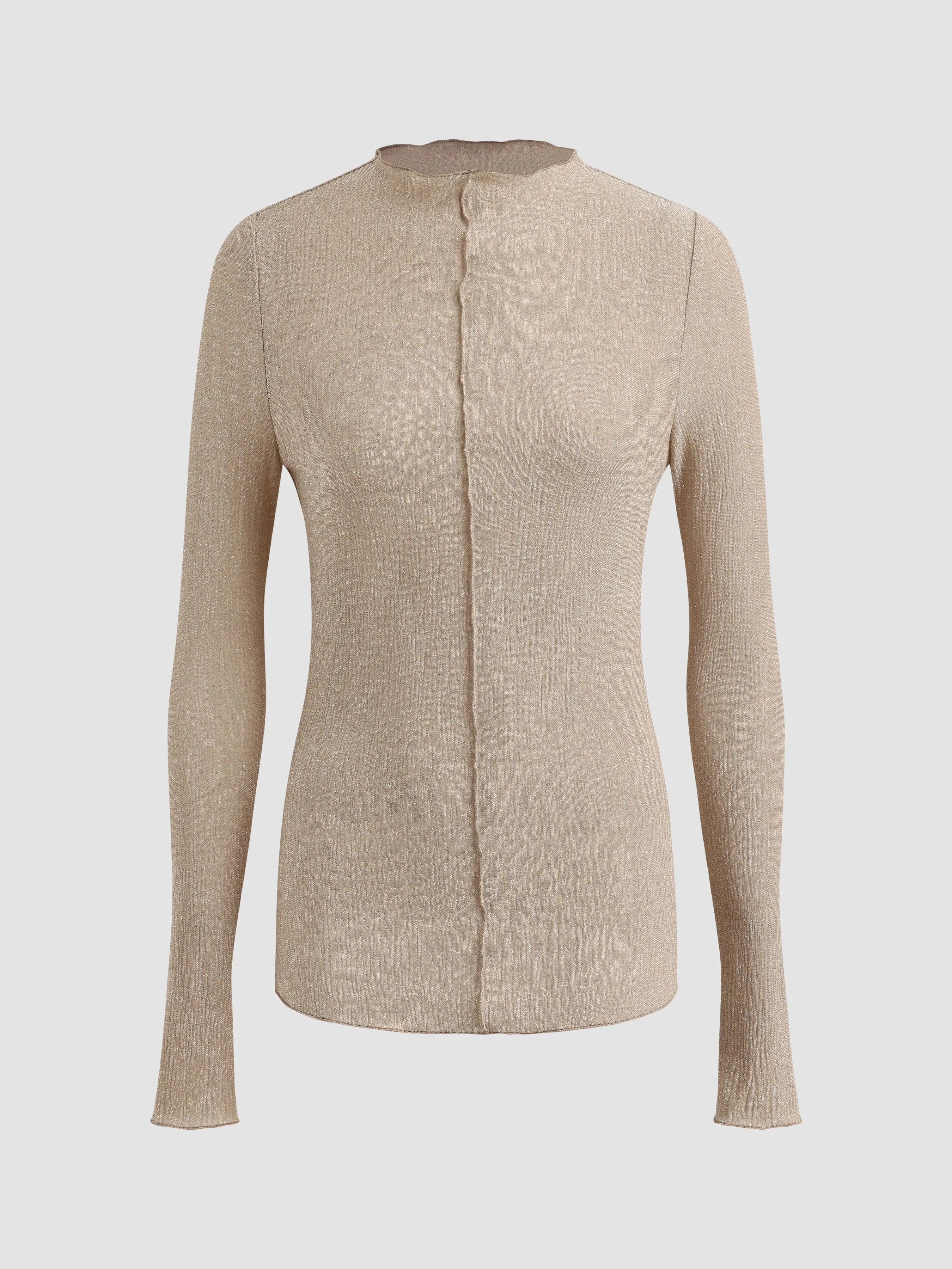 Sparkling Sheer Long Sleeve Top